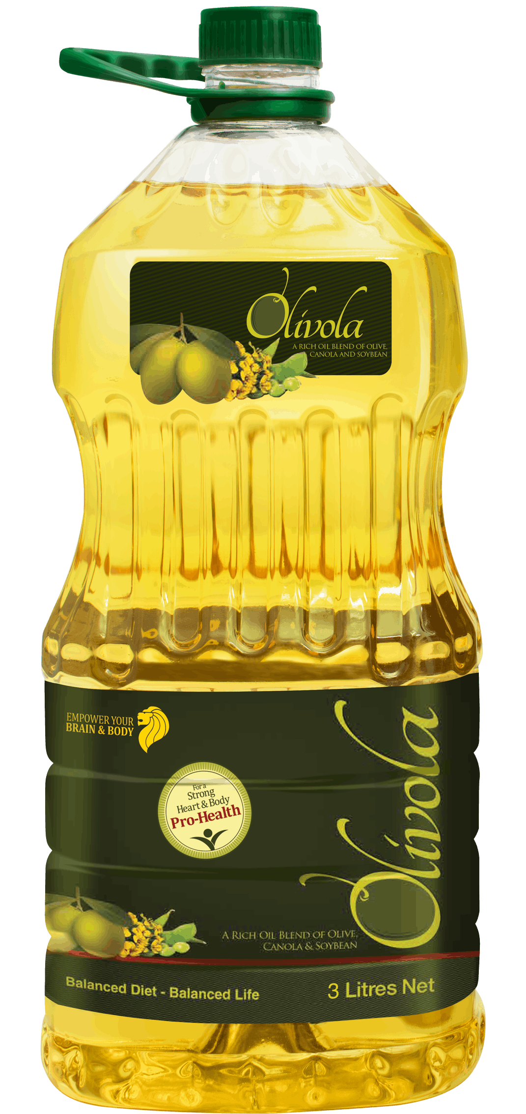 Olivola